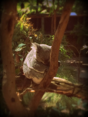 13 - KC - Perth, Australia - 1280