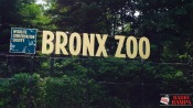 01 - NYC Zoo - 0207