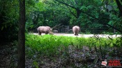 08 - NYC Zoo - 0146