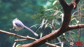 15 - NYC Zoo - 0160