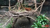 23 - NYC Zoo - 0179