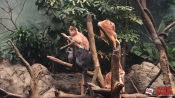 24 - NYC Zoo - 0181