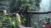 32 - NYC Zoo - 0189