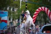 06 - 79th Pulaski Parade - 0235