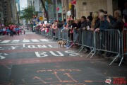 154-Pulaski-Parade-2019-6623