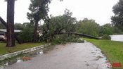 10 - Clearwater after Irma -_